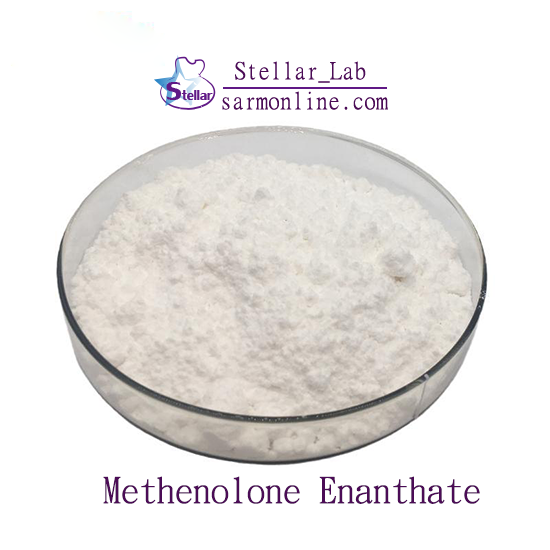 Primobolan Steroid/Methenolone Enanthate
